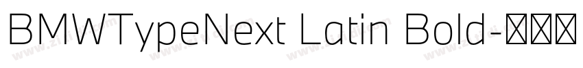 BMWTypeNext Latin Bold字体转换 BMWTypeNext Latin Bold字体转换